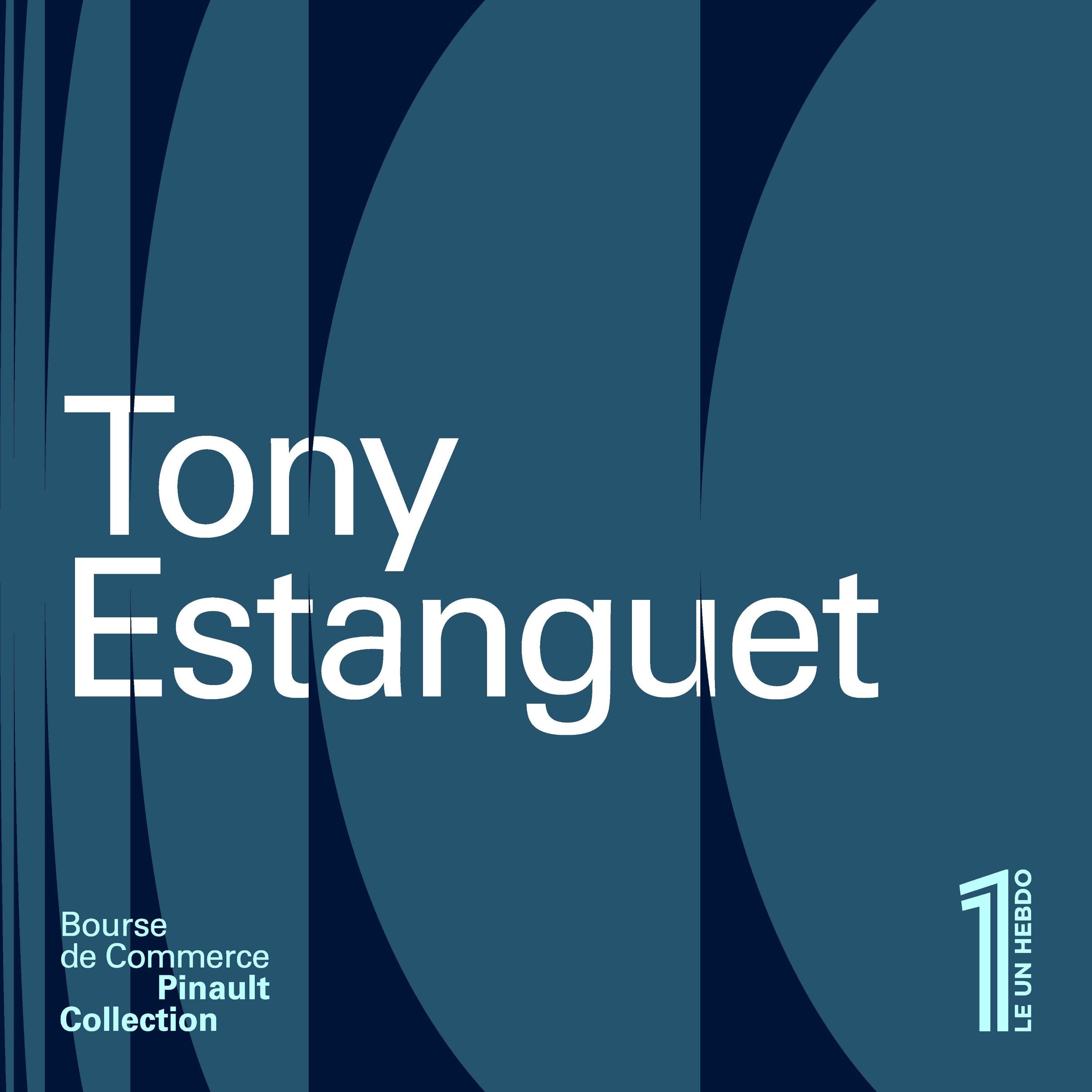 Tony Estanguet - Audace